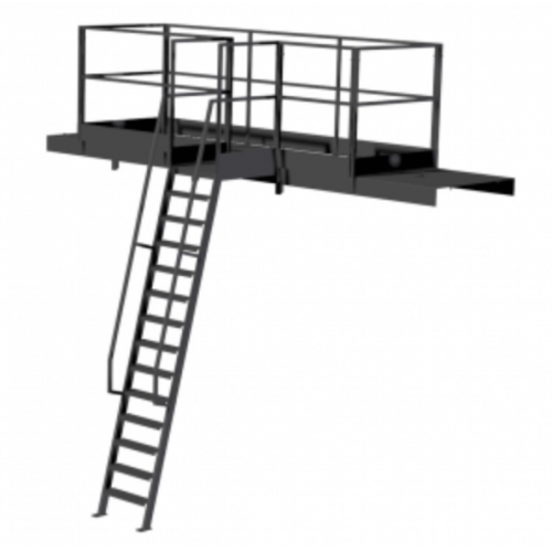 Ladder and walkway